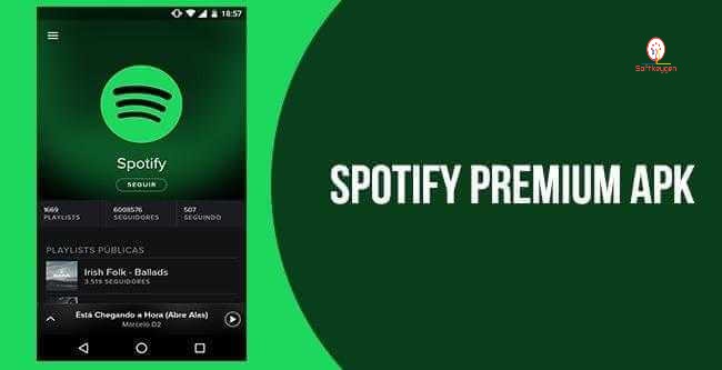 Spotify Premium APK patch-ink