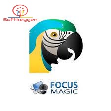 Focus Magic key-ink