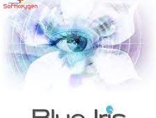 Blue Iris free-ink